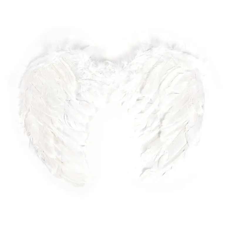 Angel Wings