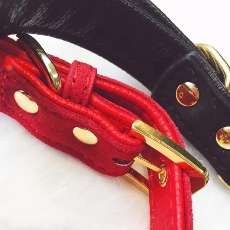 Bow & Bell Kitten Collar
