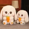 Bunny Carrot Plush