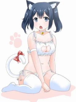 Cat Cosplay Full Lingerie Set