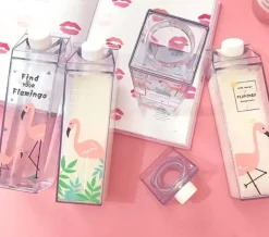 Clear Milk Carton Bottle