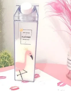 Clear Milk Carton Bottle
