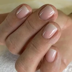 Clear Neutral Tone Press On Nails