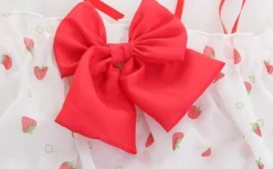Country Strawberry Outfit
