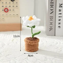 Crochet Flower Pots