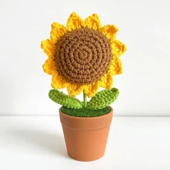 Crochet Flower Pots