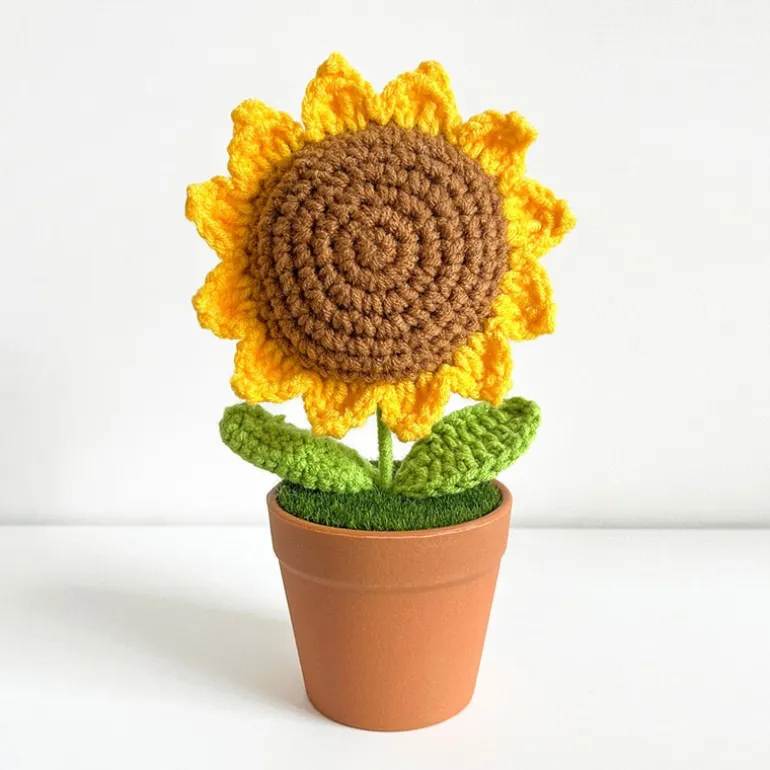 Crochet Flower Pots