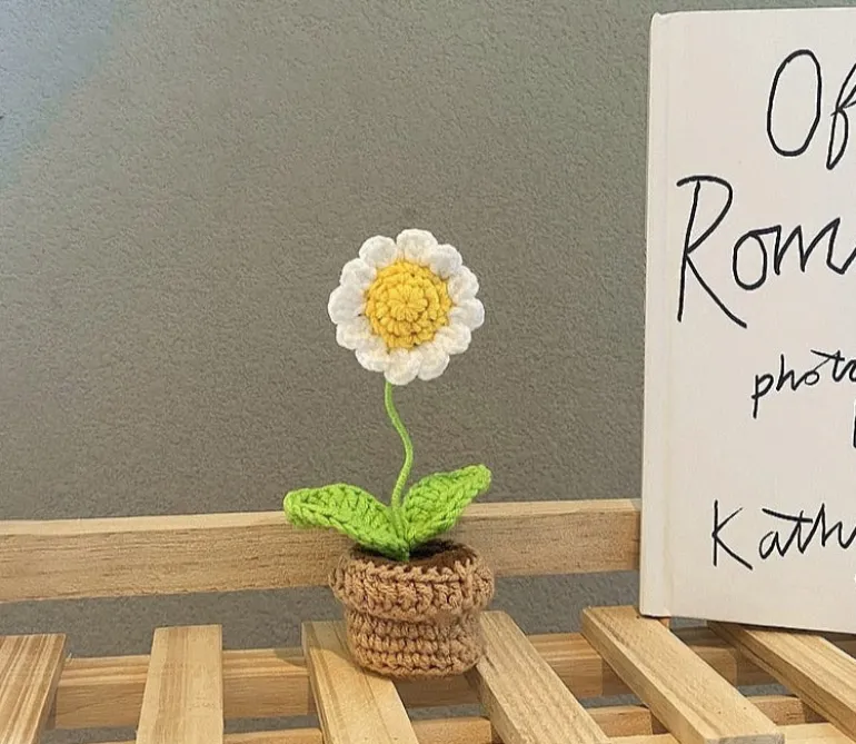 Crochet Flower Pots