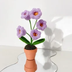Crochet Flower Pots