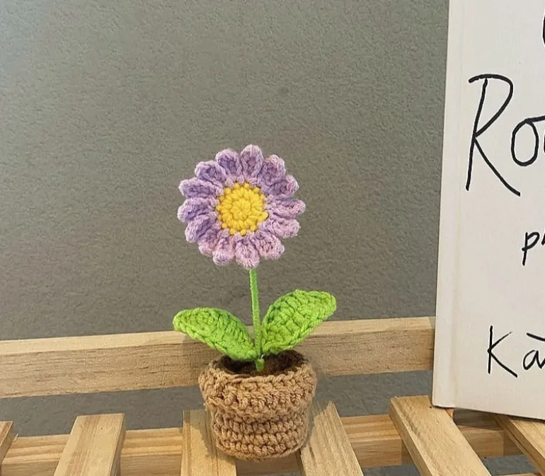 Crochet Flower Pots