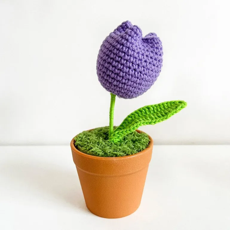 Crochet Flower Pots