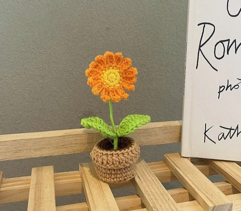 Crochet Flower Pots