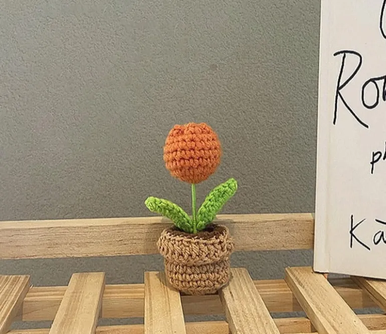 Crochet Flower Pots