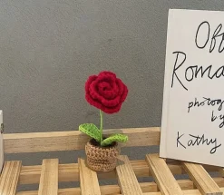 Crochet Flower Pots