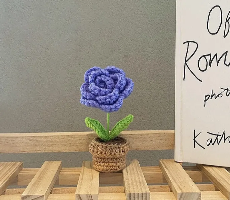 Crochet Flower Pots