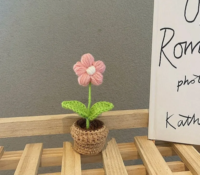 Crochet Flower Pots