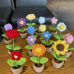 Crochet Flower Pots