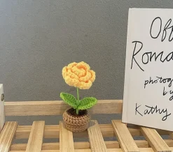 Crochet Flower Pots