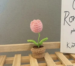 Crochet Flower Pots