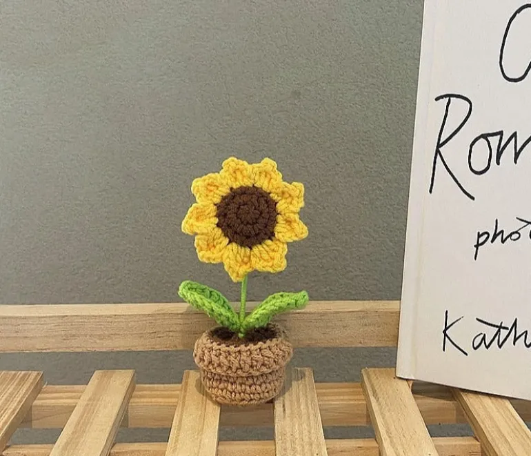 Crochet Flower Pots