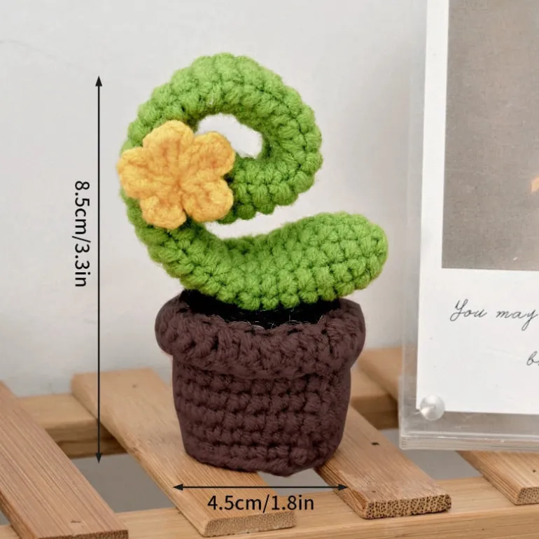 Crochet Flower Pots