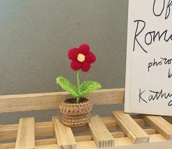 Crochet Flower Pots