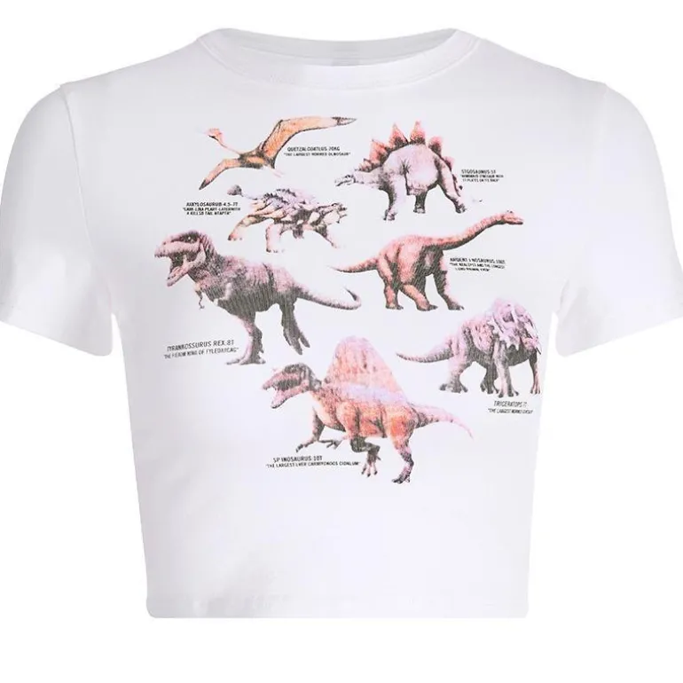 Dino Crop Top