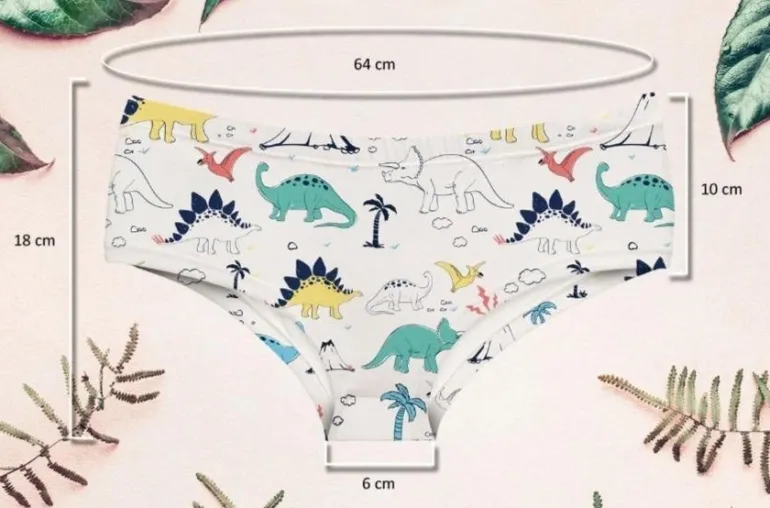 Dino Panties