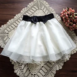 Frilly Layered Tutu Skirt