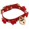 Golden Heart Locket Collar