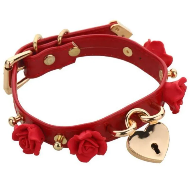 Golden Heart Locket Collar