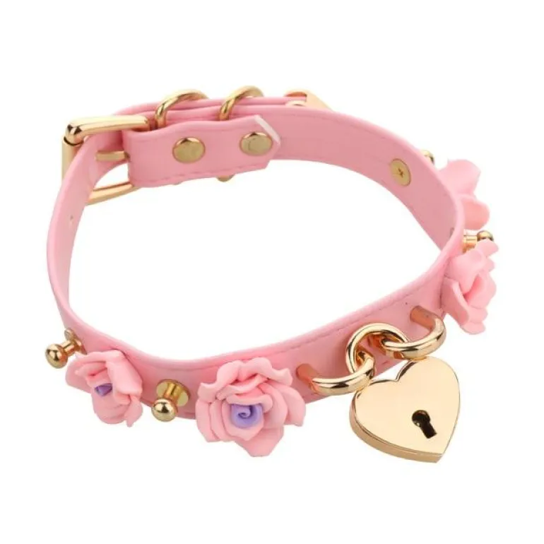 Golden Heart Locket Collar