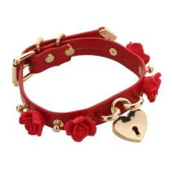 Golden Heart Locket Collar