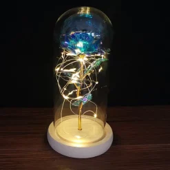Immortal Rose Light