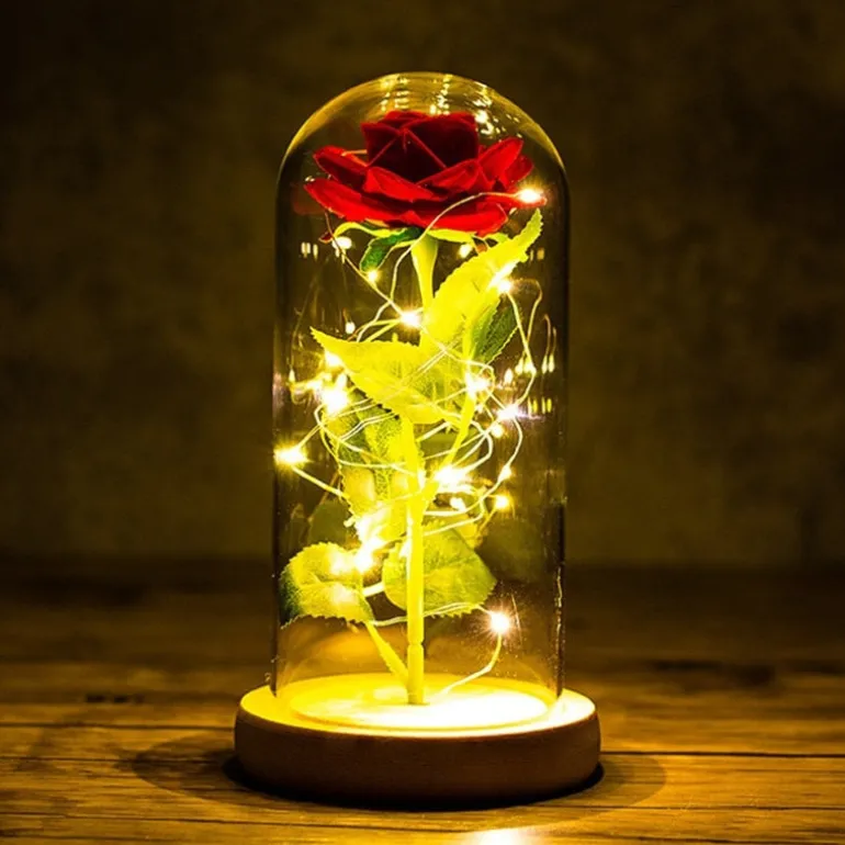Immortal Rose Light