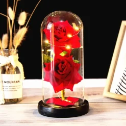 Immortal Rose Light
