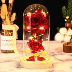 Immortal Rose Light