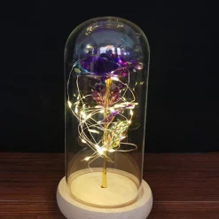 Immortal Rose Light
