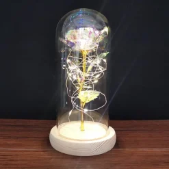 Immortal Rose Light