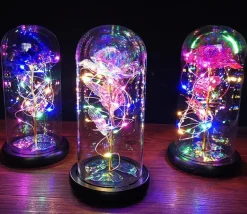 Immortal Rose Light