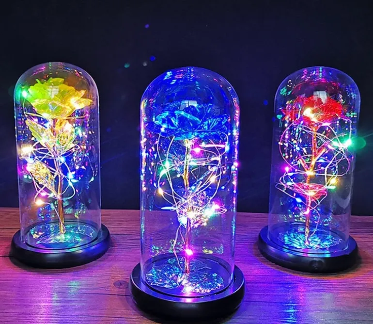 Immortal Rose Light