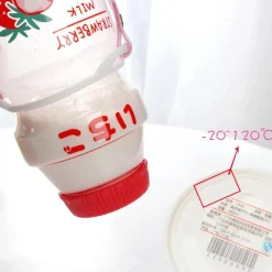 Japanese Fruit Water Bottles