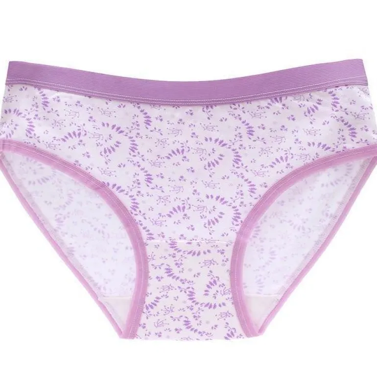 Little Briefs (Up To 3XL)