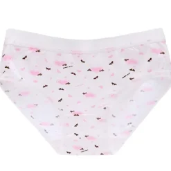 Little Briefs (Up To 3XL)