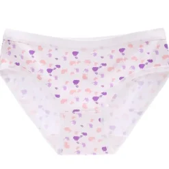 Little Briefs (Up To 3XL)