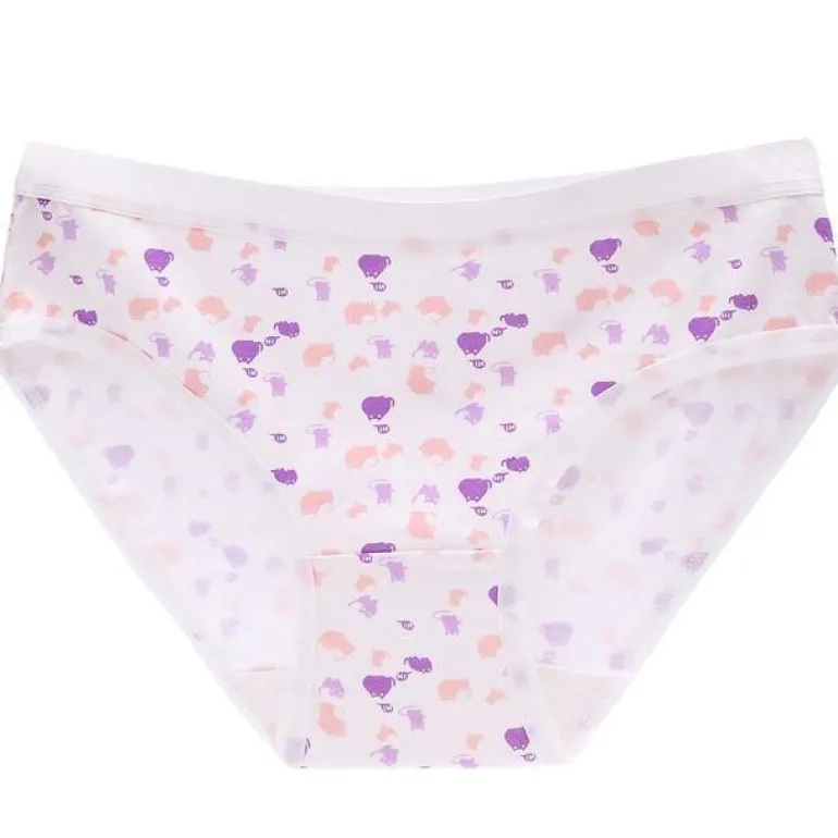 Little Briefs (Up To 3XL)