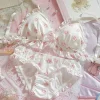 Little Paw Lingerie Set