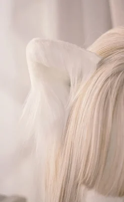 Luxury Realistic Neko Ears