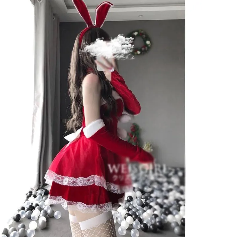 Luxury Santa Bunny Dress Set