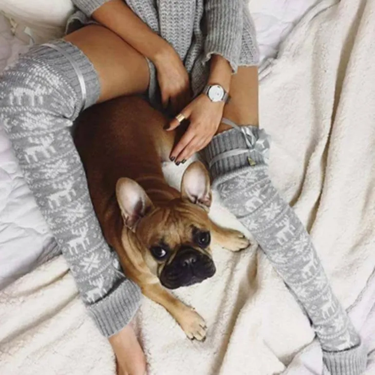 Merry Christmas Leg Warmers